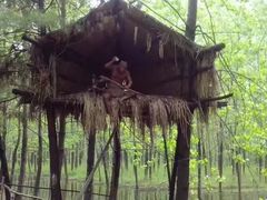 -合肥滨湖国家森林公园