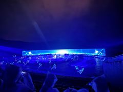 -鼎盛王朝康熙大典实景演出