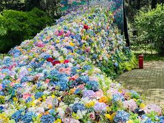 -上海共青森林公园