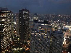 -东京都厅舍
