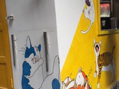 -猫街饭团(顶澳仔猫街店)