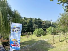 -合肥滨湖国家森林公园