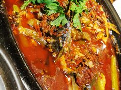 砂锅全鱼-陶德砂锅(蜀汉路店)