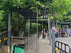 -都江堰中华大熊猫苑