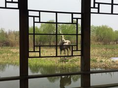 -溱湖国家湿地公园