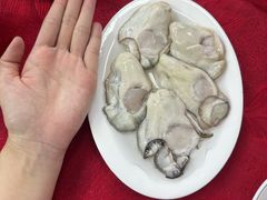 -花苑美食横琴生蚝火锅(拱北粤华路店)