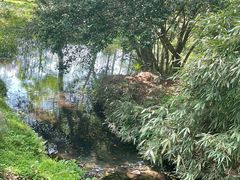 -杭州植物园