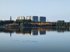 -大兴滨河森林公园