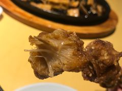 -素虎小呆鸟(西二旗店)