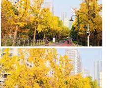 景点-北外滩滨江绿地
