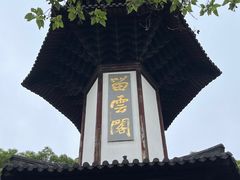 -上海佘山国家森林公园天马山园