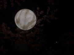 -蓝鲸湾汤泉(包河店)