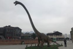 点击看大图 -恐龙探索乐园(磁器口店)