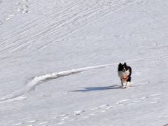 -中旅松花湖滑雪场