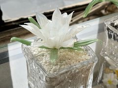 -隐工匠·银饰·烧玻璃DIY手工坊(蓝·芳华店)