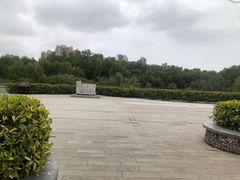 -大亚湾红树林城市湿地公园