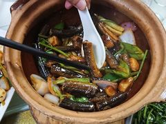 -广宁炭炉鸡煲·富临门饭店