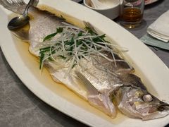 太湖翘嘴白水鱼-锦江都城闵行饭店