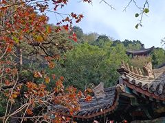 -香山公园