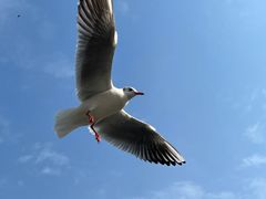 -渤公岛生态公园