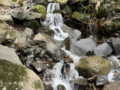 -藏龙百瀑风景区