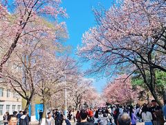 -吉林大学(南岭校区)