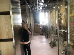 -MAGIC米几发型设计·羊毛卷