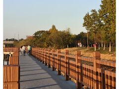 -艾溪湖湿地公园