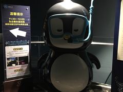 -成都浩海立方海洋公园