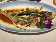 -船歌·鱼水饺青岛菜(金狮广场店)