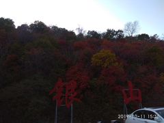 -天女山森林公园