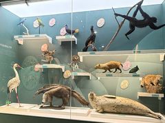 -国家自然博物馆