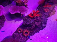 -沈阳海洋探索中心