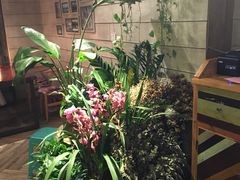-春暖花开(西溪店)