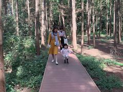 -同里国家湿地公园
