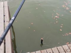 -新怡路亚垂钓园