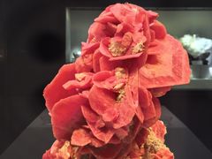 -湖南省地质博物馆