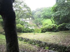 -汉拿树木园