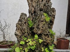 -月栖华明-云间草堂清茶馆(泗泾古镇店)