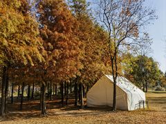 -上海长兴岛郊野公园