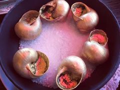 -金蜗牛