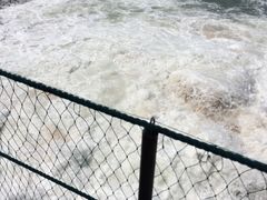 -海驴岛(荣成市)