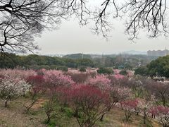 -无锡梅园公园
