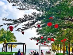 -半山半岛洲际度假酒店·观海廊