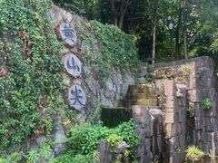 -千岛湖东南湖区