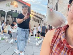 -华谊兄弟（长沙）电影小镇