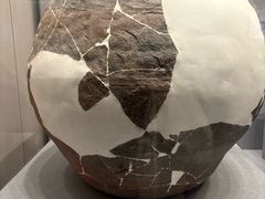 -巴音郭楞蒙古自治州博物馆