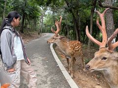 -大连森林动物园