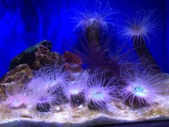 -上海海洋水族馆