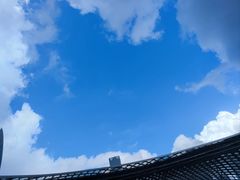 -华润深圳湾体育中心-“春茧” 体育馆